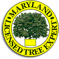 quality landscaping maryland
